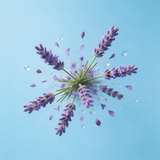 Filtre de douche Vitaminé
